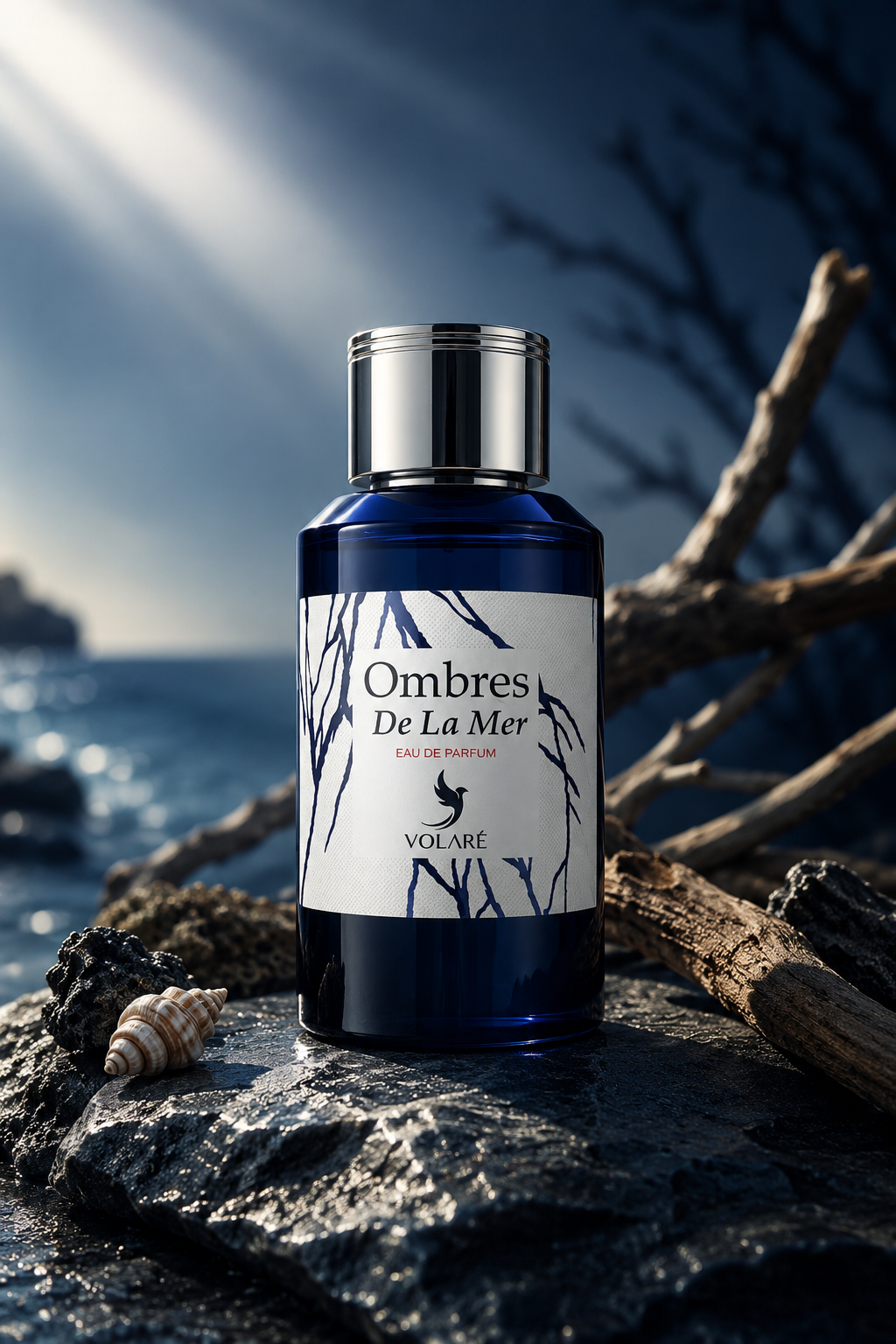 Ombre de la mer