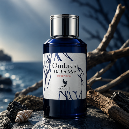 Ombre de la mer